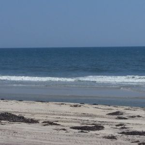 Meet your Posher, Daniela